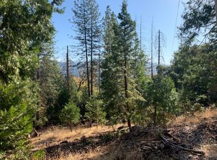 27606 Gretchen Ln, Pioneer, CA 95666