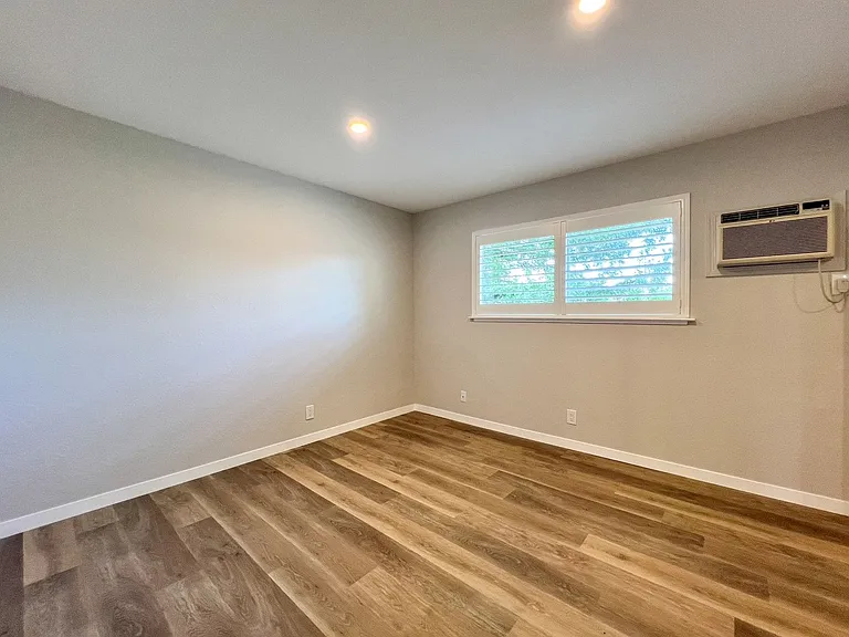 Pine, 1782* — Photo 11