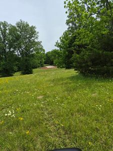 0 County Road 125, Rogersville, AL, 35652