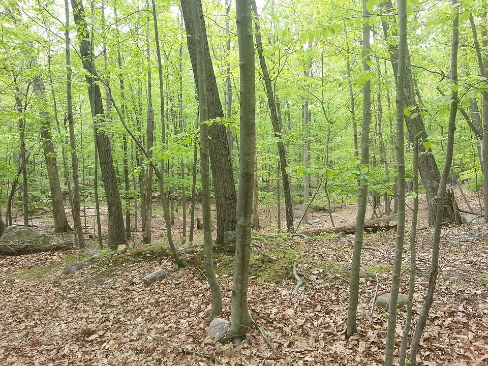 2nd image of Tamarack Dr