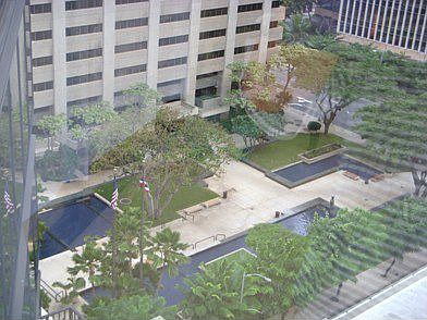 from bedroom's window