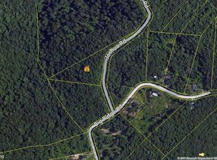 144 Big Ridge Rd, Spring City, TN 37381