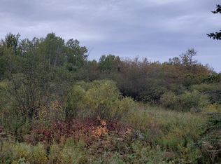 22204 S Dryburg Rd, Rudyard, MI 49780