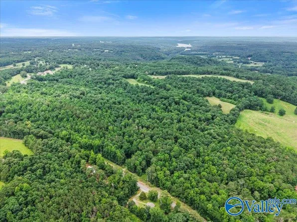 County Road 940, Falkville, AL 35622