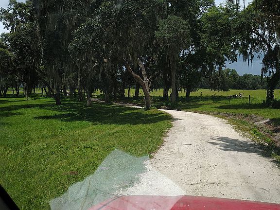 Main driveway heading to road