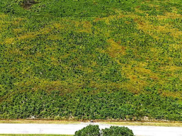 Cove Rd Lot 3, New Hope, NC 27944