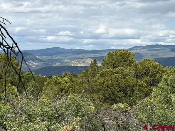 Lot 4 Tower Road North, Ridgway, CO 81432
