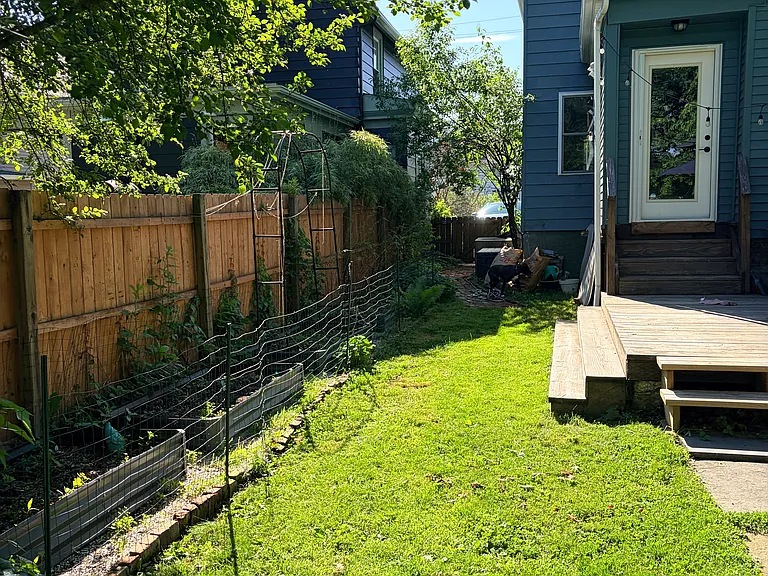 Back yard/ side yard