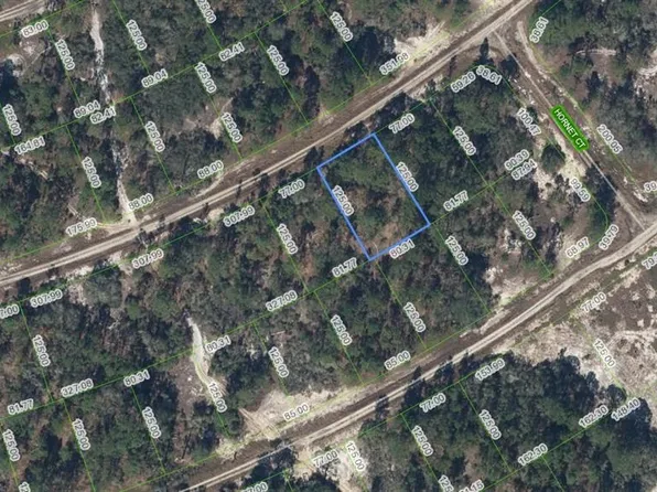 387 Showboat Ave, Lake Placid, FL 33852