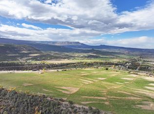 12482-54 7/10 Rd, Collbran, CO 81624