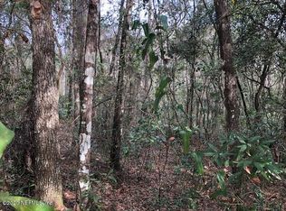 4841 Sedge St, Middleburg, FL 32068