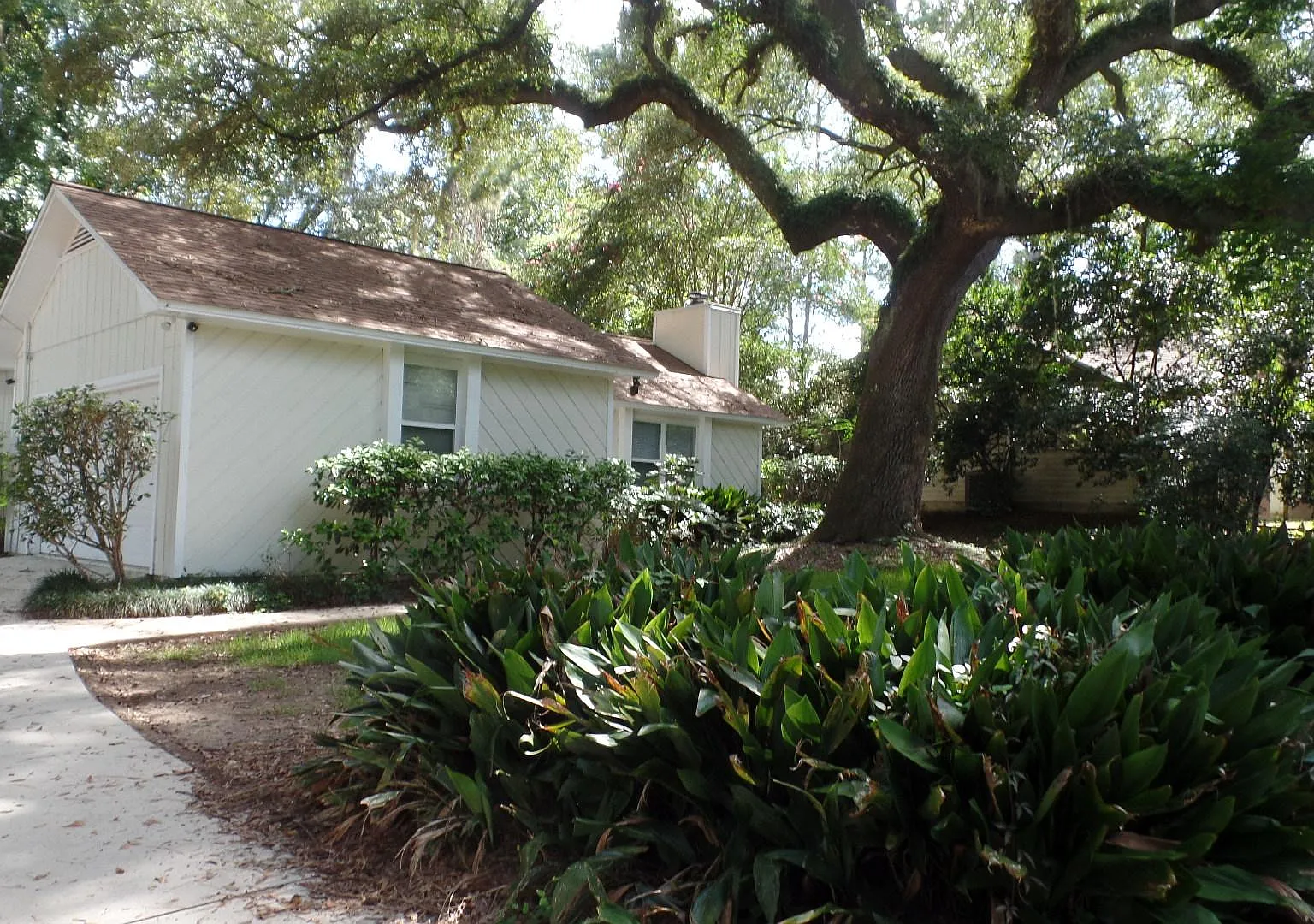 3 bed, 1397 sqft, $2,000 — Photo 1