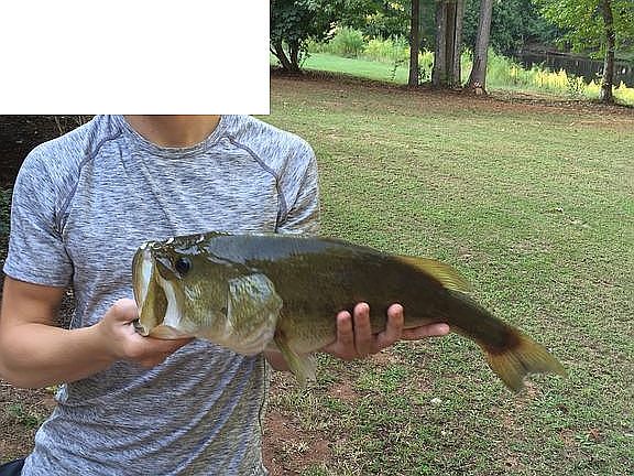 3rd image of 150 Forrest Lake Dr