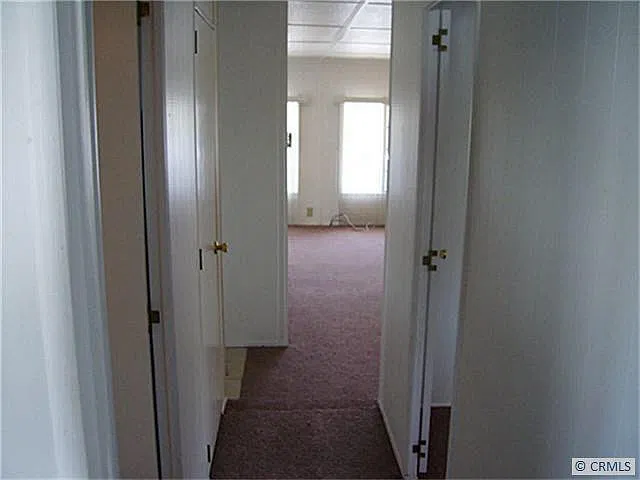 2 bed, 800 sqft, $1,475 — Photo 3