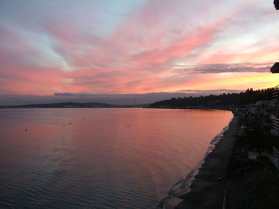 Summer Sunrise