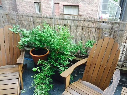 Rented by Guidance Realty Corp. | media 20