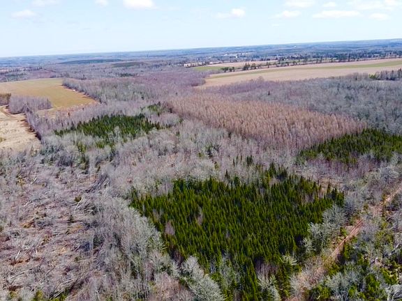 4th image of Settlement Rd