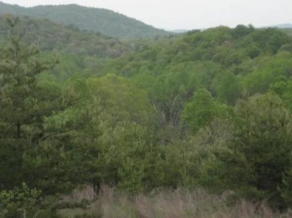 Griffith Hill Rd, Ferrum, VA 24088