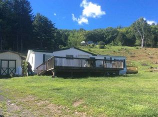 253 Mountain Rd, Olive, NY 12481