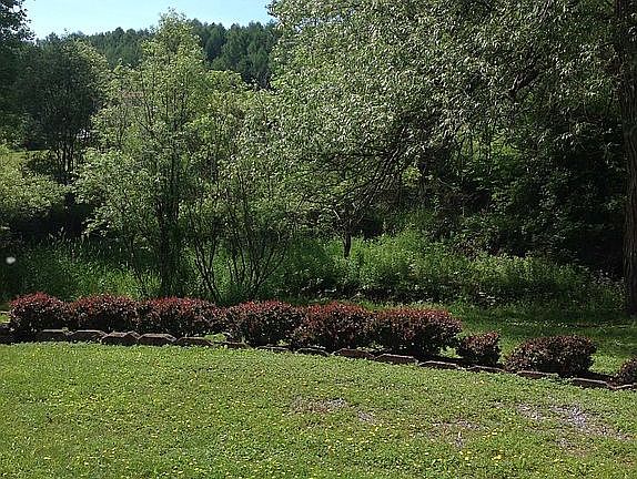 Back yard with creek behind.