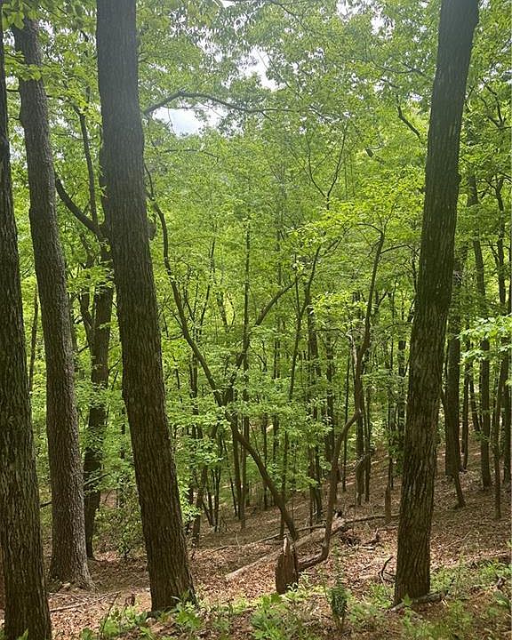 1st image of 6388 Valley View Dr Lot 6388