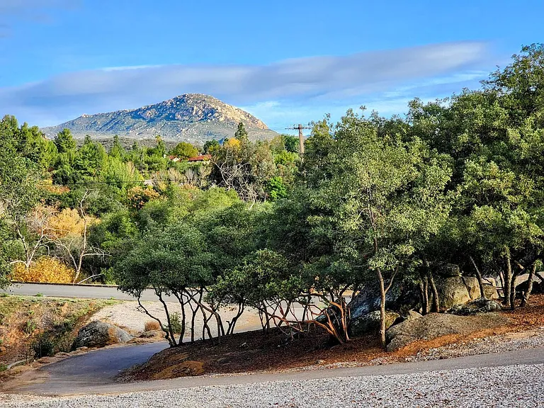 2986 Calle Calleta Viejas Rd — Photo 8