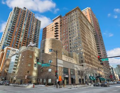40 E 9th St APT 716, Chicago, IL, 60605