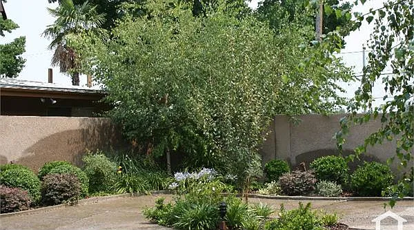 2 bed, 1200 sqft, $1,700 — Photo 2