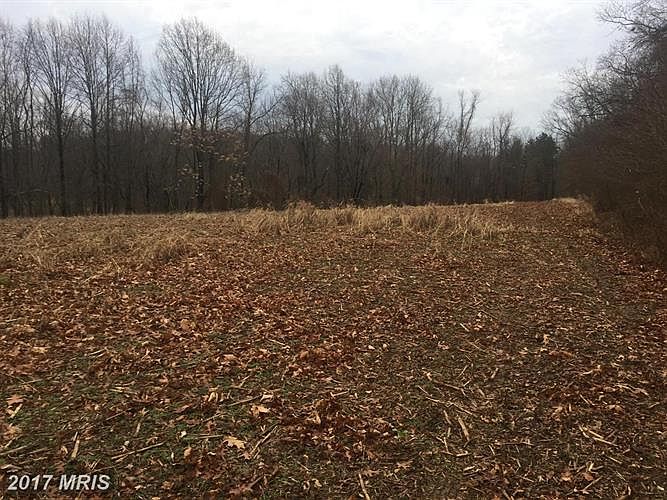 2nd image of 14102 Peddicord Rd