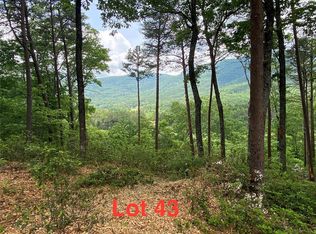 LOT 43 E Deep Gap Farm Rd, Mill Spring, NC 28756