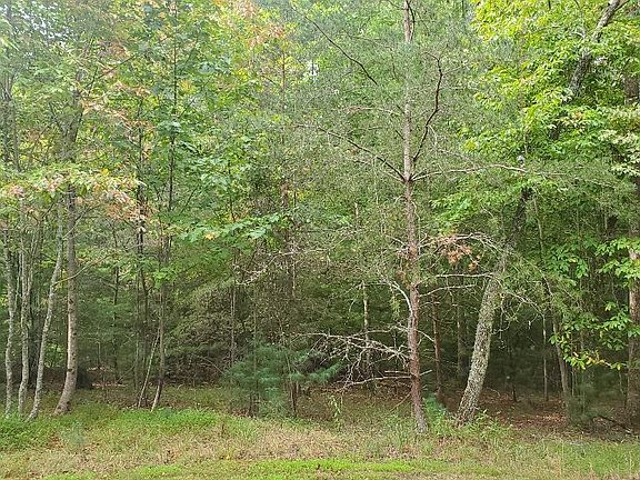 2nd image of Warnock Mtn. Acres