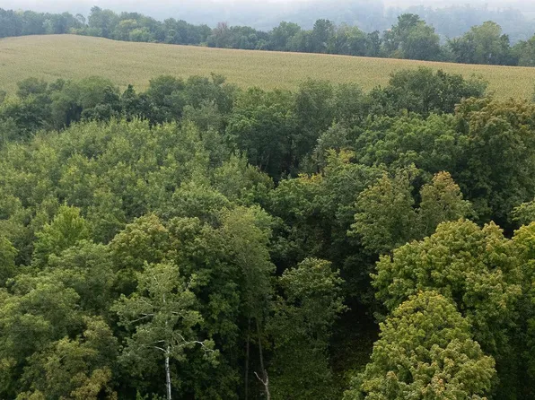 LOT 3 Goat Back Rd, Pepin, WI 54759