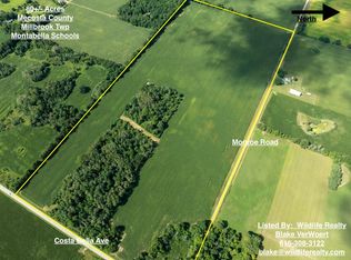 80ACRE S Monroe Rd, Blanchard, MI 49310