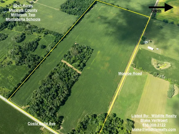 80ACRE S Monroe Rd, Blanchard, MI 49310