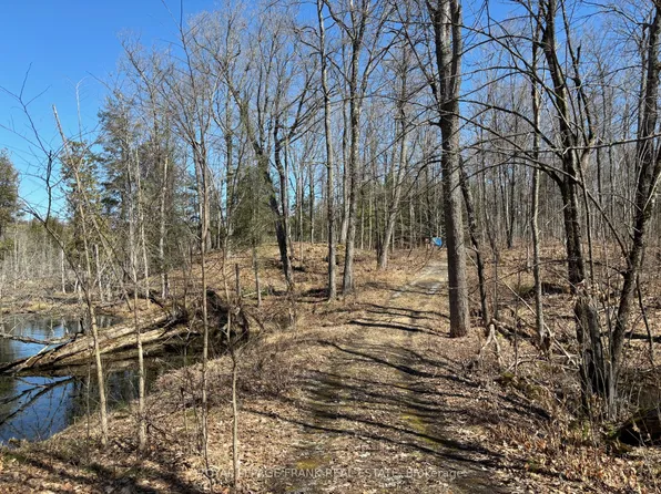 185 Julian Lake Rd, North Kawartha, ON K0L 1C0
