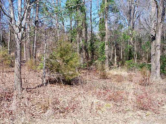 5th image of 1711 County Road 2850