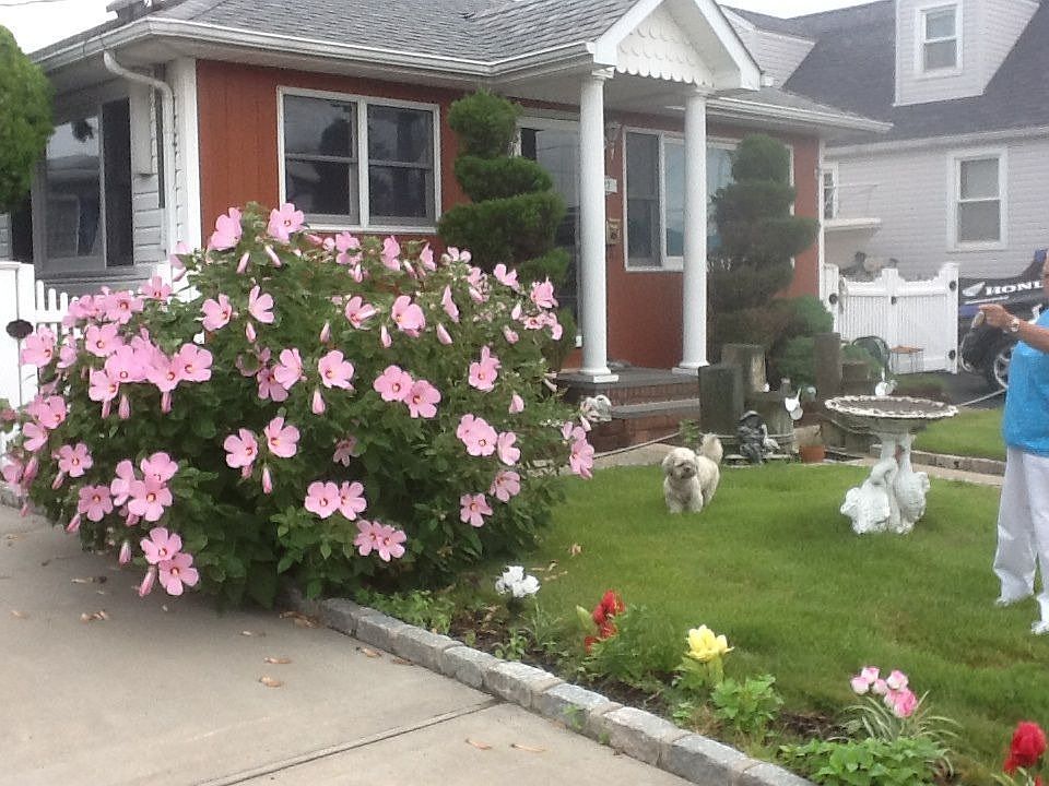 2nd image of 27 Flint Rd
