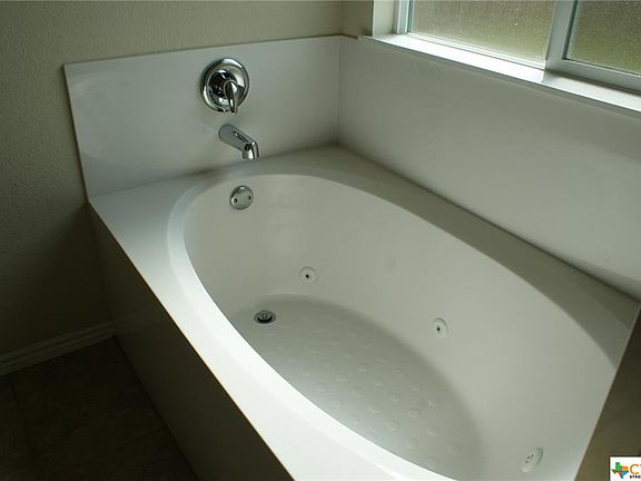 5th image of 2506 Black Orchid