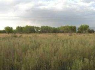 0 County Road B010, La Mesa, NM 88044
