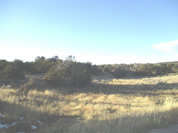 2nd image of 10 Woodline Dr