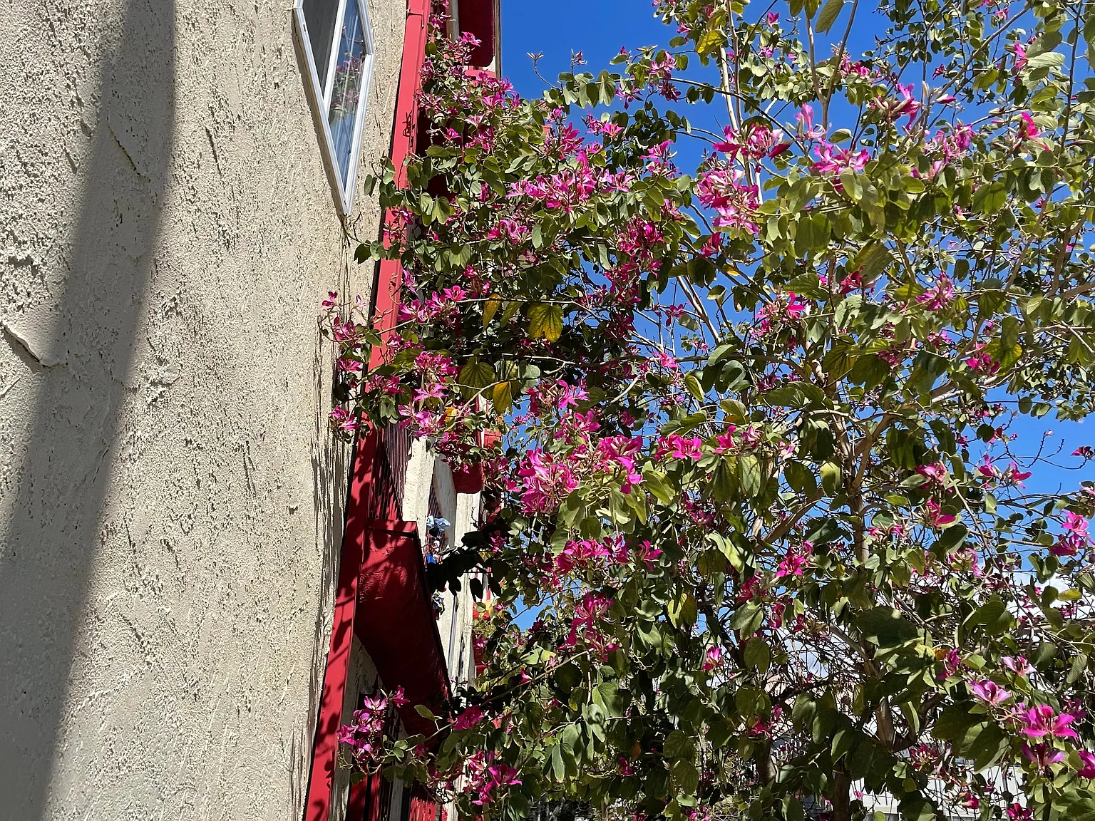 2600 W 8th Street — Photo 2