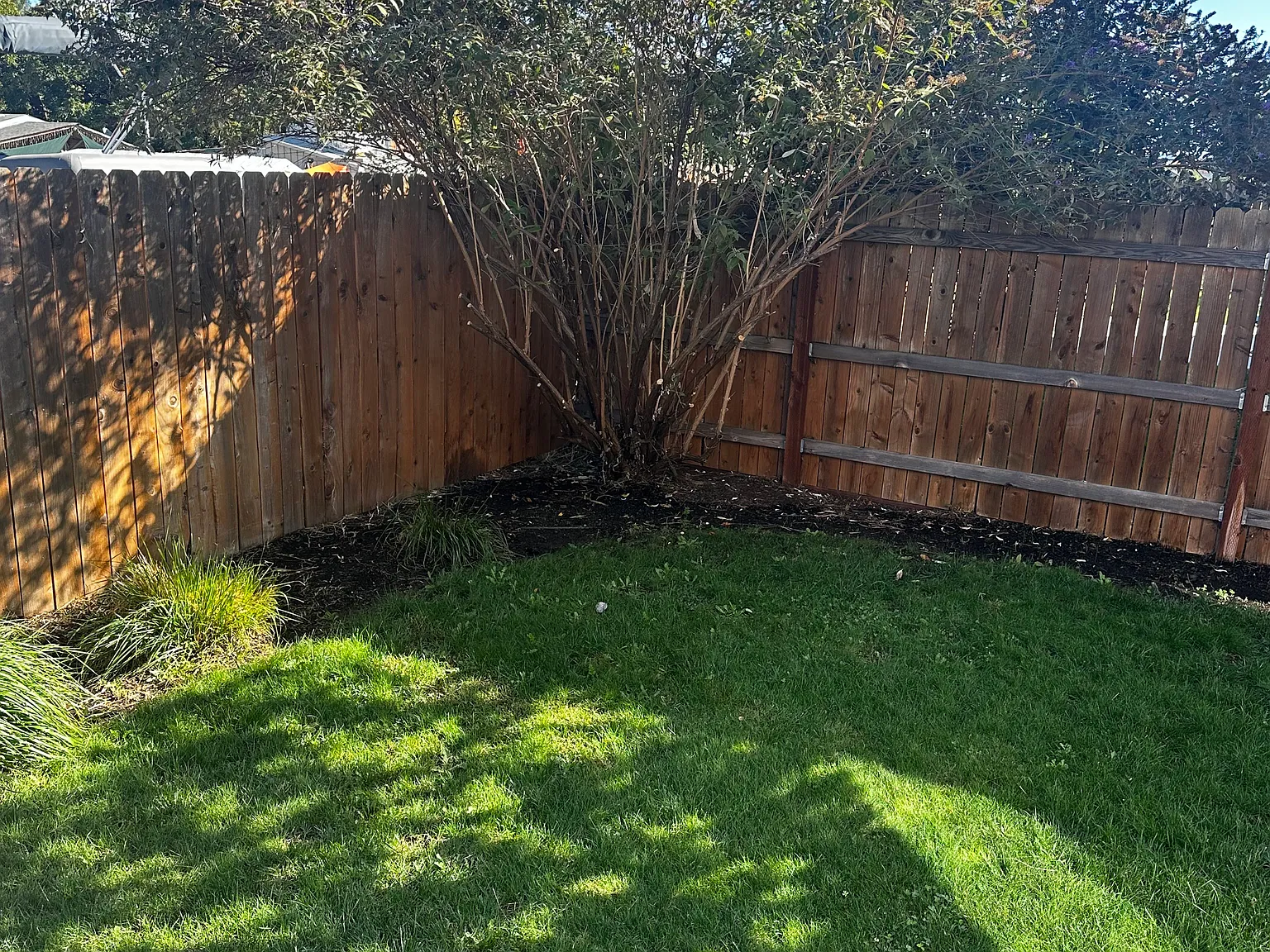 3 bed, 2.5 bath, 2276 sqft, $2,350 — Photo 4