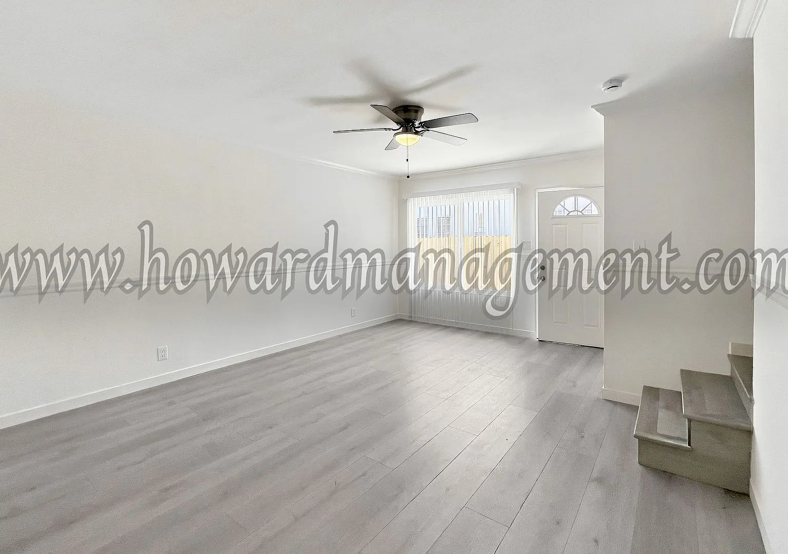 1981 Chestnut — Photo 3