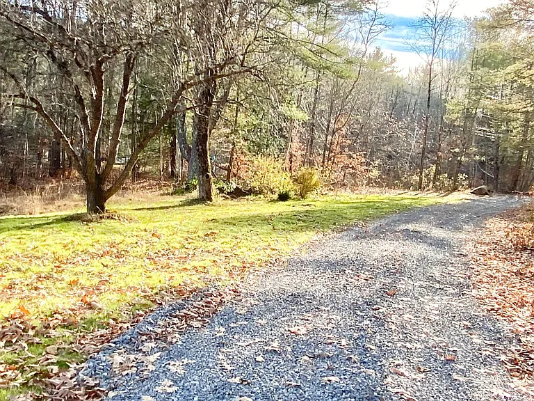 Four acres sit up above road but driveway is flat and gravel lined