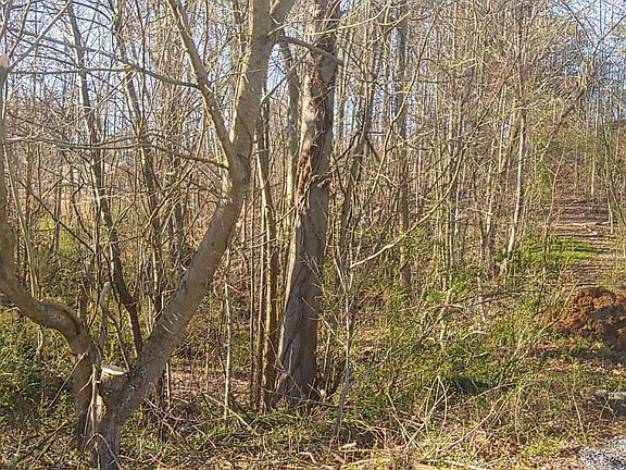 5th image of Dunlap Rd