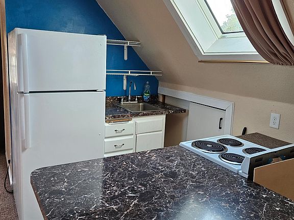 Fridge, sink skylite & counter.