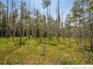 251 White Pine Canyon Rd, Park City, UT 84060