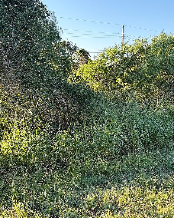 1st image of 156 Dolphin Dr