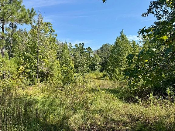 5th image of TRACT 5 Private Road 8385