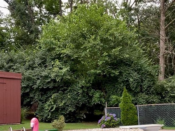 4th image of 307 Thornton Rd